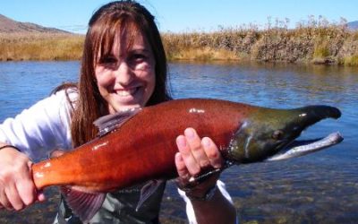 COLORADO FLY FISHING REPORTS FROM 2006 COLORADO TROUT HUNTERS FLY FISHING TRIPS