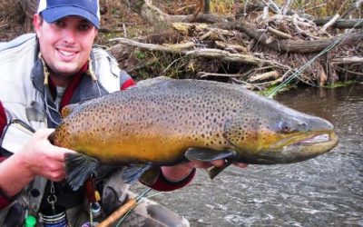 MAY 11, 2009 COLORADO TROUT HUNTERS COLORADO FLY FISHING TRIP REPORT