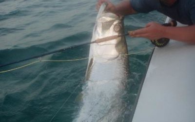 FLORIDA FLATS FISHING WITH CAPTAIN BRUCE CHARD