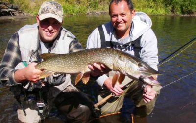SEPTEMBER 14TH, 2008 COLORADO TROUT HUNTERS COLORADO FLY FISHING TRIP REPORT