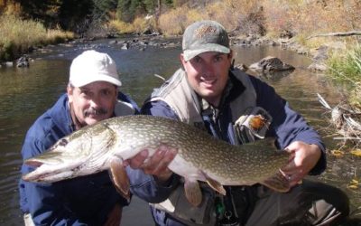 OCT. 5-6, 2009 COLORADO TROUT HUNTERS COLORADO FALL FLY FISHING TRIP REPORT