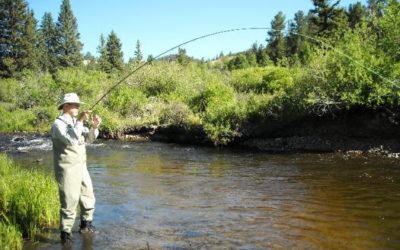 JULY 6, 2010 COLORADO TROUT HUNTERS COLORADO FLY FISHING TRIP