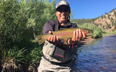 Low Flows out of Cheesman Reservoir
