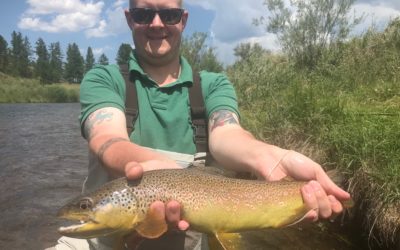 South Platte at Deckers Fishing Report