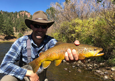 A trophy Deckers brown trout caught on a dry fly.