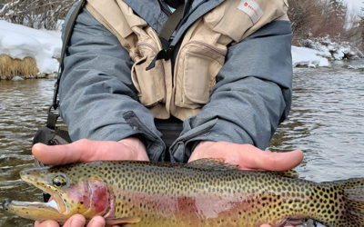 Winter Fly Fishing Class Recap