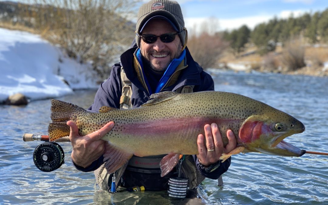 February Highlights