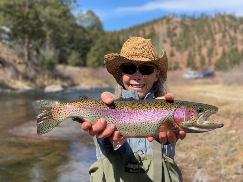 A trophy rainbow trout landed on a guided trip near the town of Deckers.