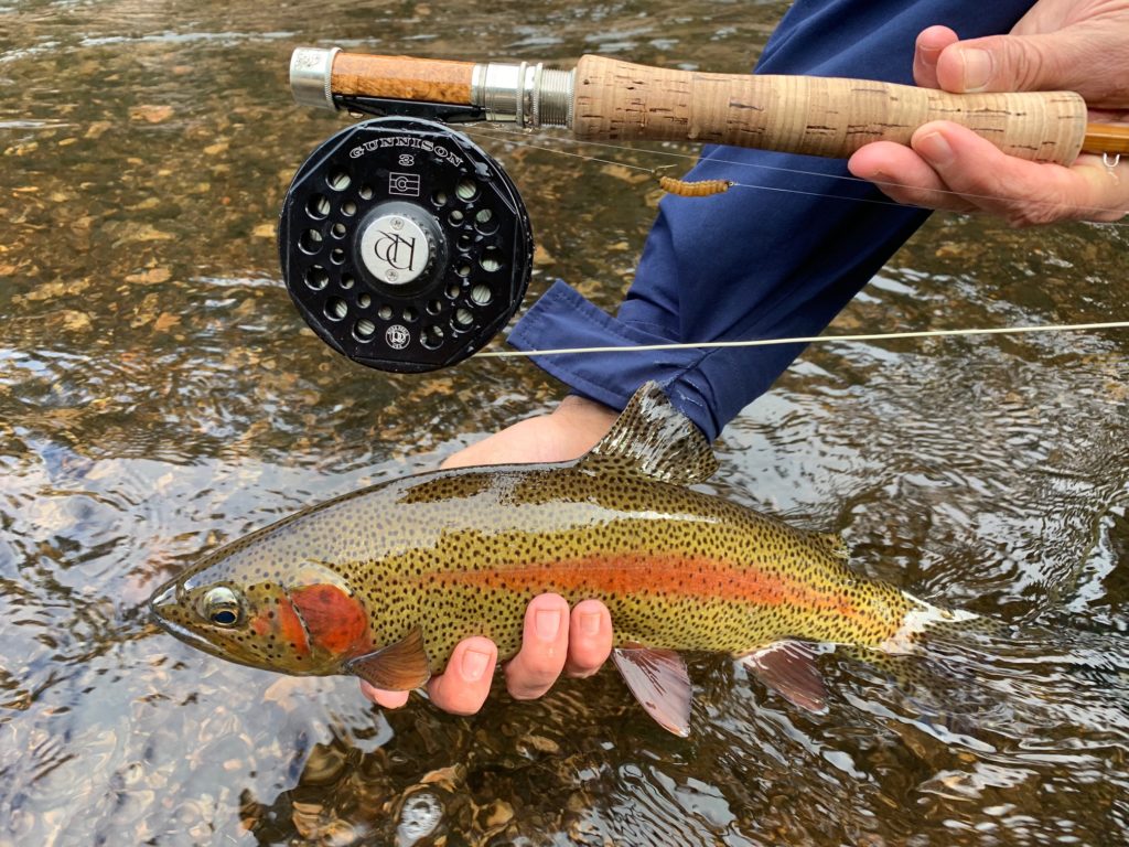 Colorado made rainbow and reel!