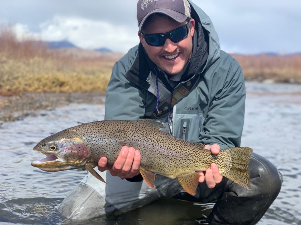 A large Cutbow from the South Platte