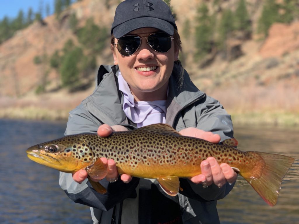 A cool looking brown trout from a guided fly fishing trip near Deckers.