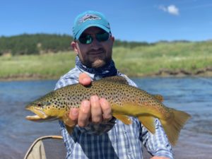 Abell River Ranch brown trout.