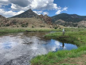 Tarryall Creek guided fly fishing trip.