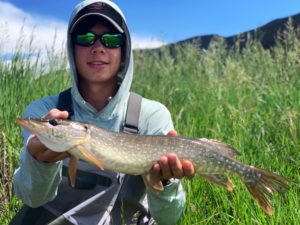 Colorado Pike on the fly