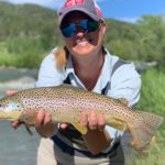 Big Brown Trout just outside of Denver Colorado.