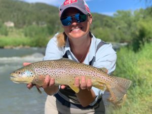 Big Brown Trout just outside of Denver Colorado.