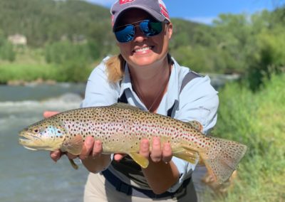 Big Brown Trout just outside of Denver Colorado.