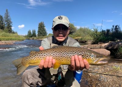 A mouse eating brown trout from a very small creek in South Park Colorado.