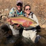 Monster Rainbow Trout from a guided fly fishing trip near Denver.