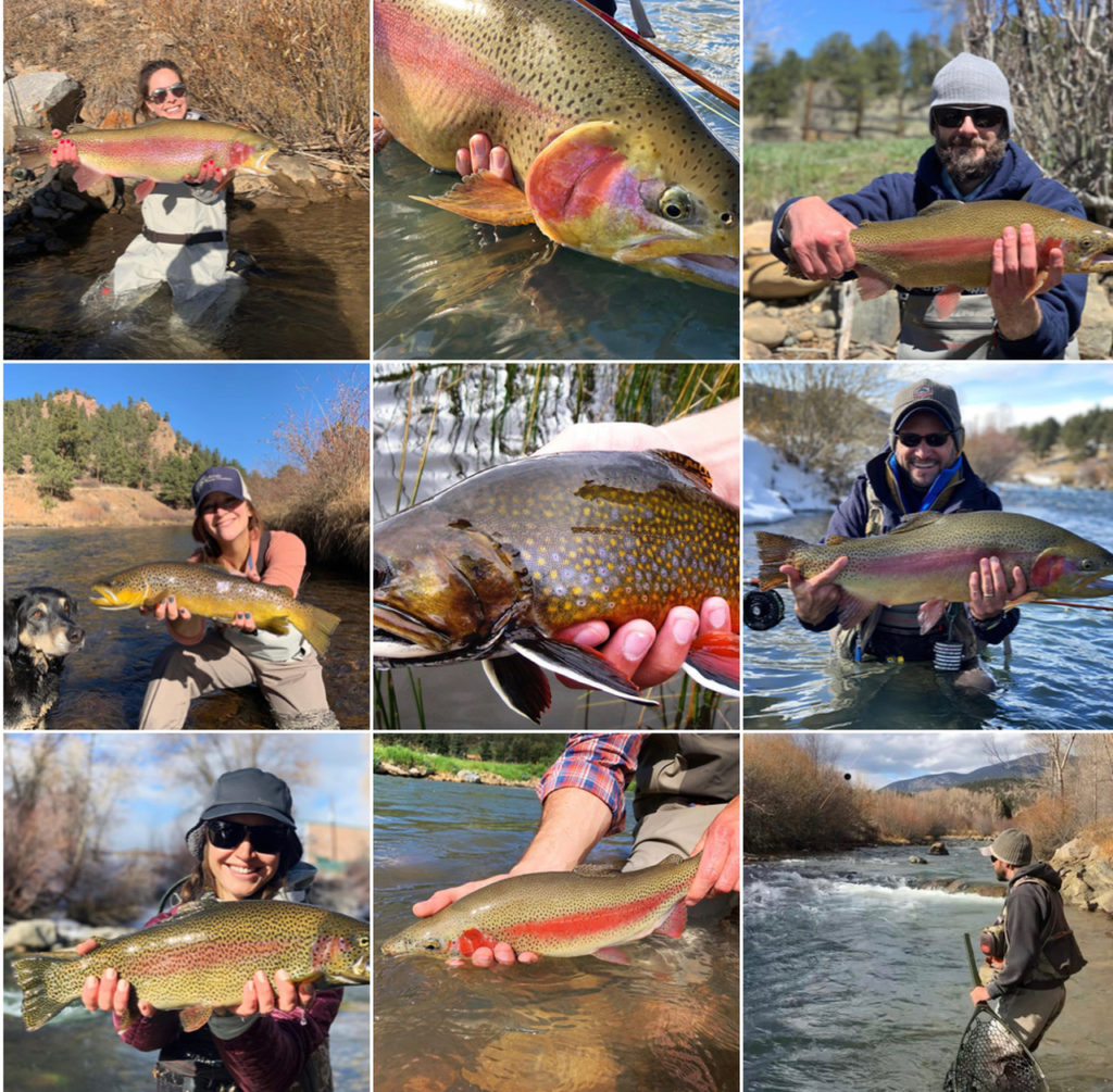 Our 9 most liked Colorado fly fishing photos