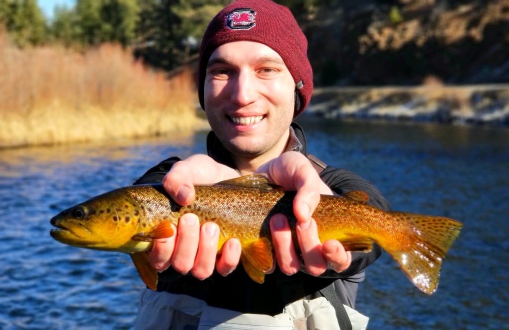 Brown Trout from a winter guided fly fishing trip near Denver.