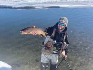 Dream stream winter rainbow trout.