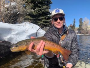 Big brown trout from the Blue River.