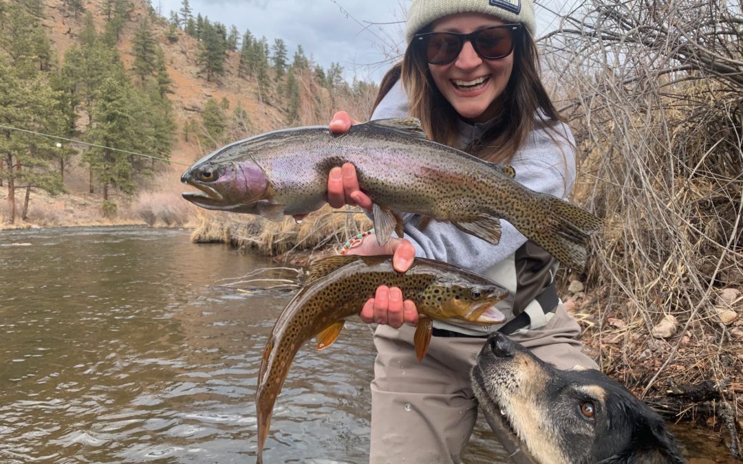 Colorado Spring Fly Fishing Report