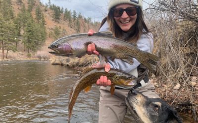 Colorado Spring Fly Fishing Report