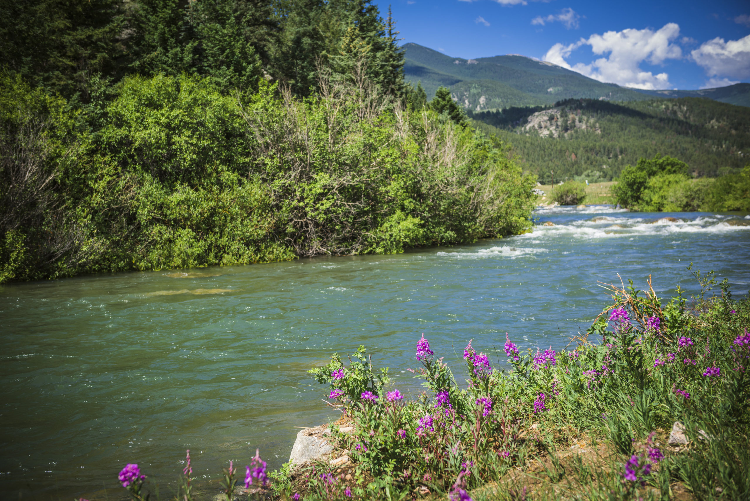 Gorgeous scenery from guided fly fishing on the North Fork of the South Platte.