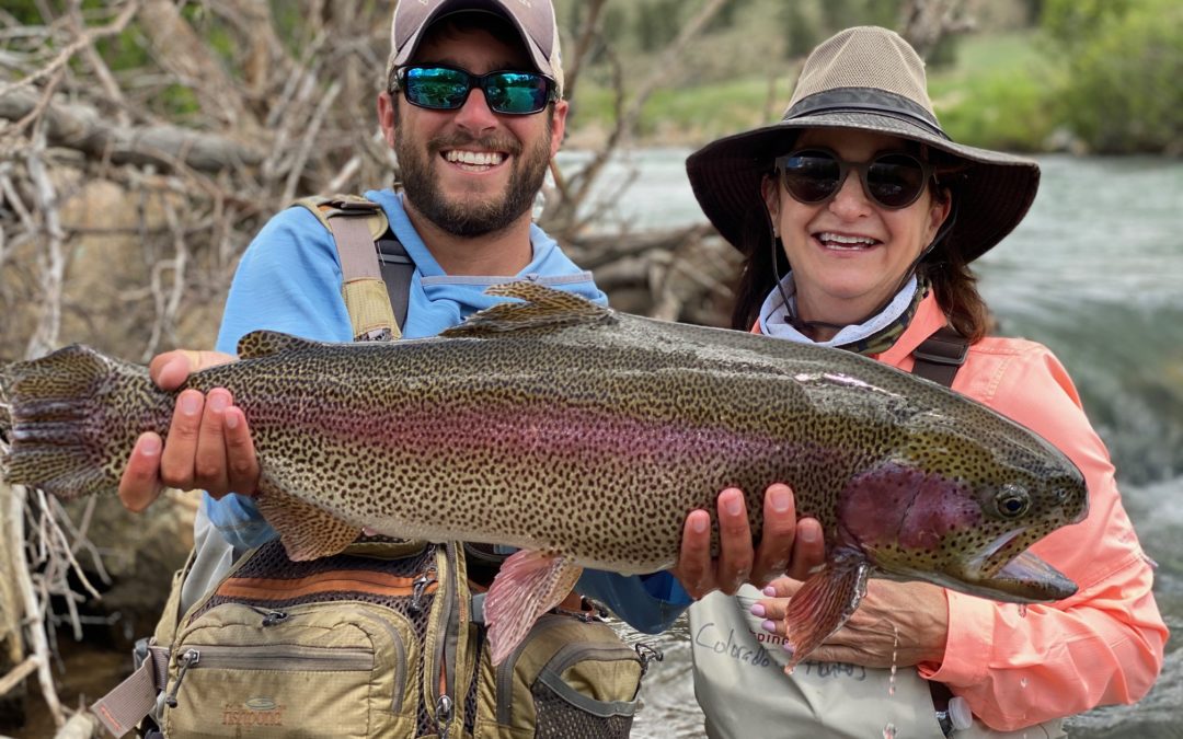 Trophy Trout Near Denver!