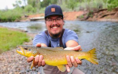 South Platte Fishing Report