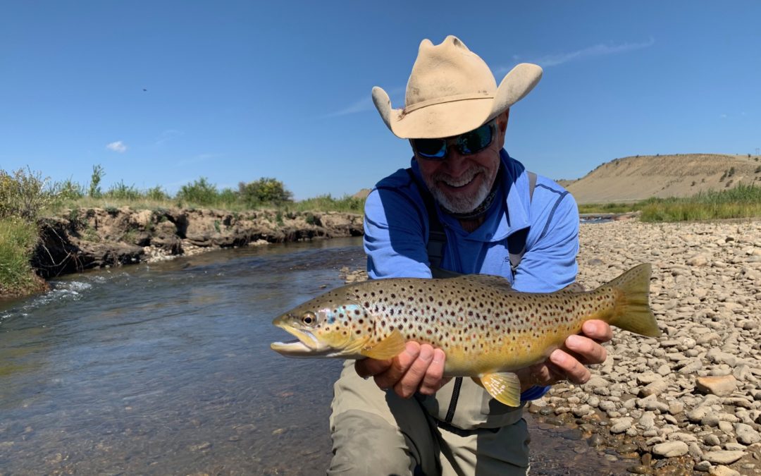 South Platte River Fishing Report // Fall Update