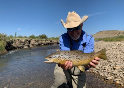 Trophy brown trout from the Middle Fork of the South Platte