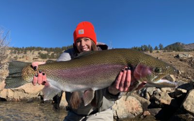 Spring Fly Fishing Report