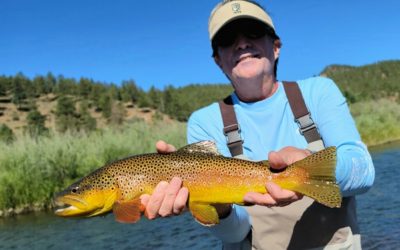 Deckers Dry Fly Fishing