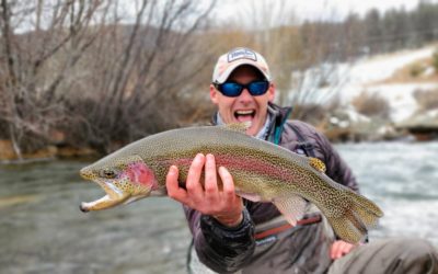 Fall Availability