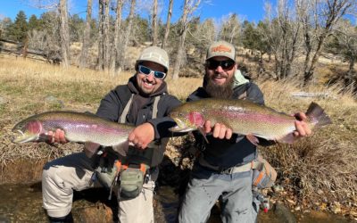 Guided Fly Fishing Gift Cards