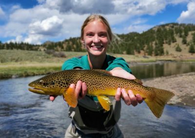 Trophy Brown Trout from guided fly fishing at Abell River Ranch