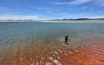 Tips for Stillwater Success