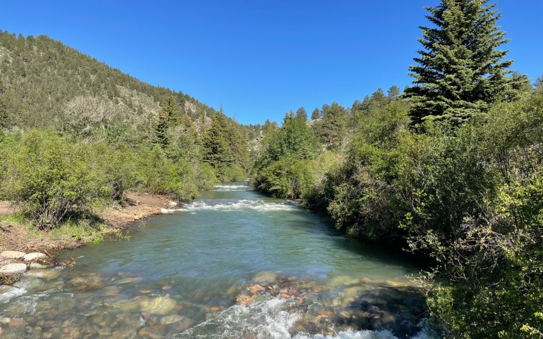 Silver Tip Ranch Opens!