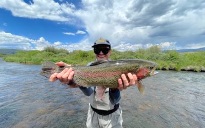 Green Drakes at the Rolling J Ranch!