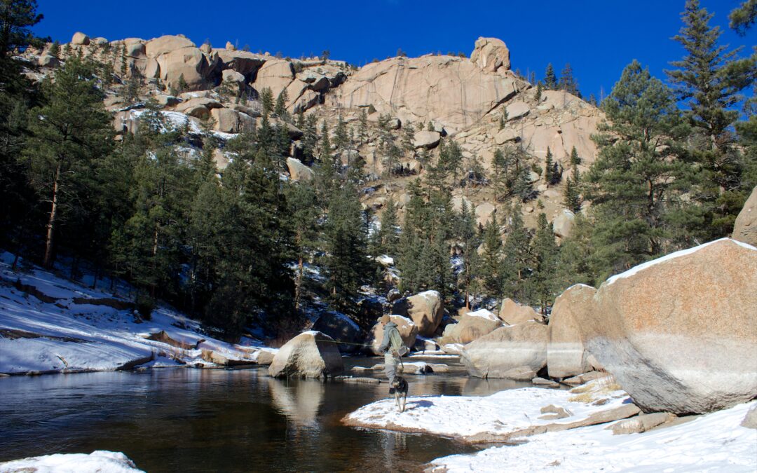 Advice for Fly Fishing In Low Winter Flows