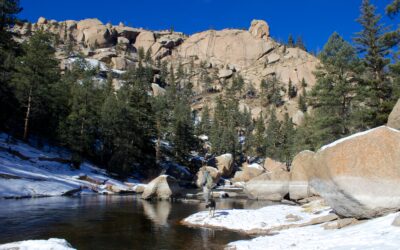 Advice for Fly Fishing In Low Winter Flows