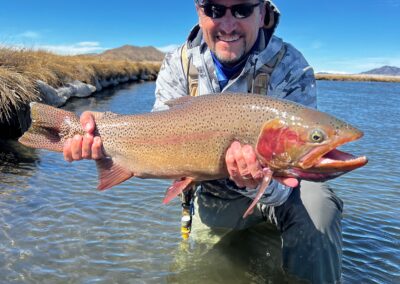 Big Dream Stream cut bow landed with Trout Hunters guide Matt Sandersen