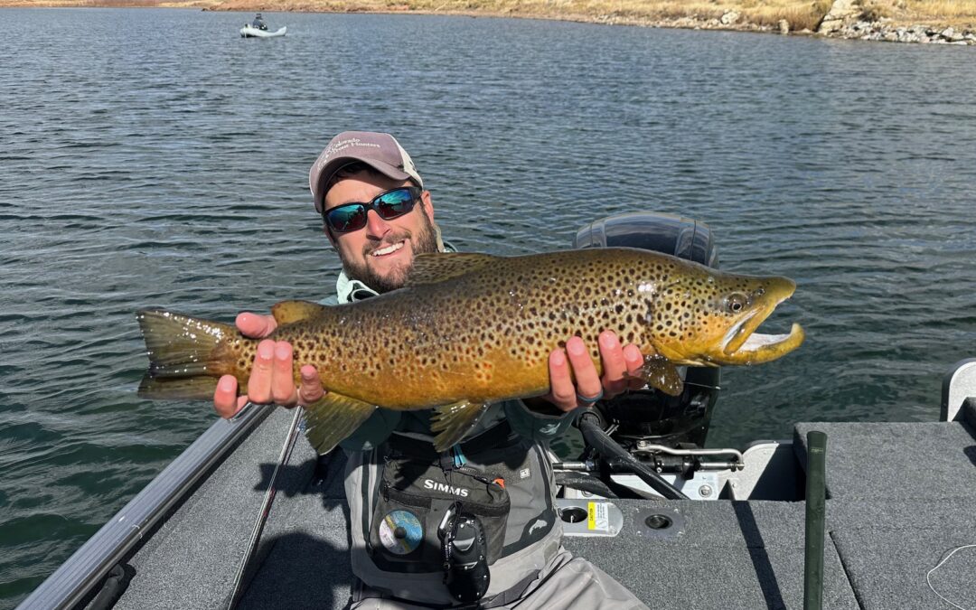 Now is the Time for Trophy Brown Trout!