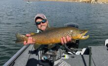 Danny Frank with a trophy Stillwater brown trout