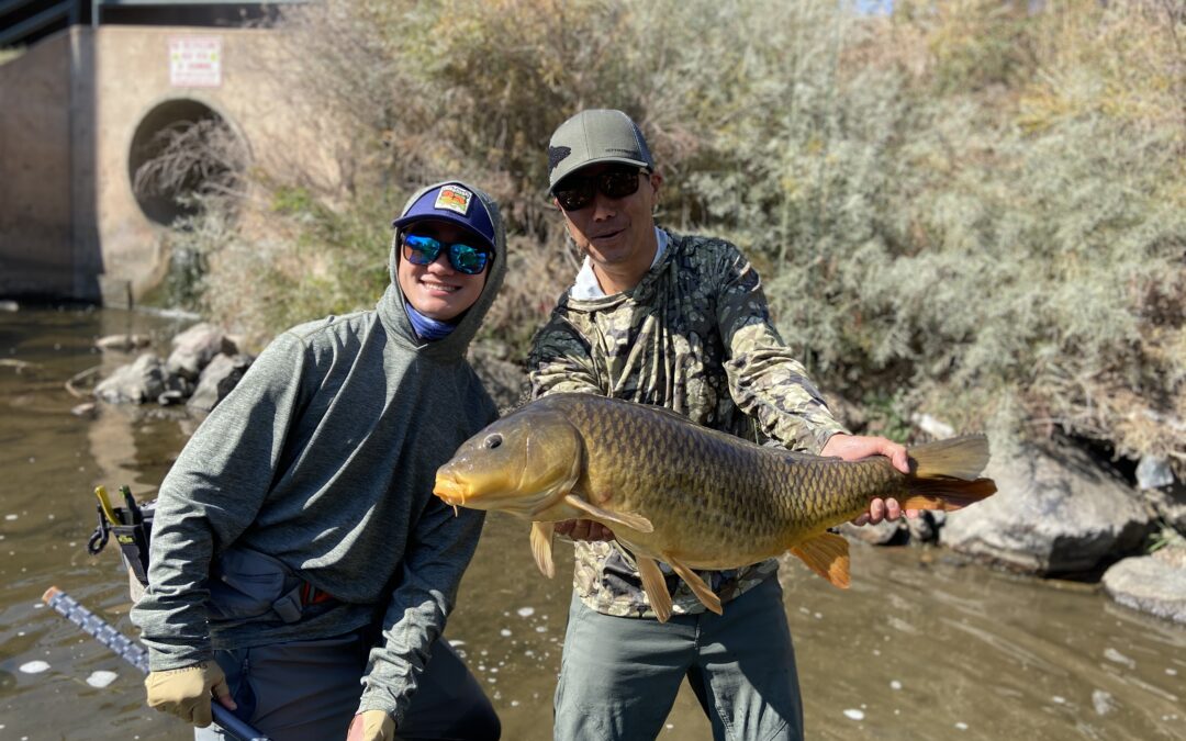 Guided Carp on the Fly Trips