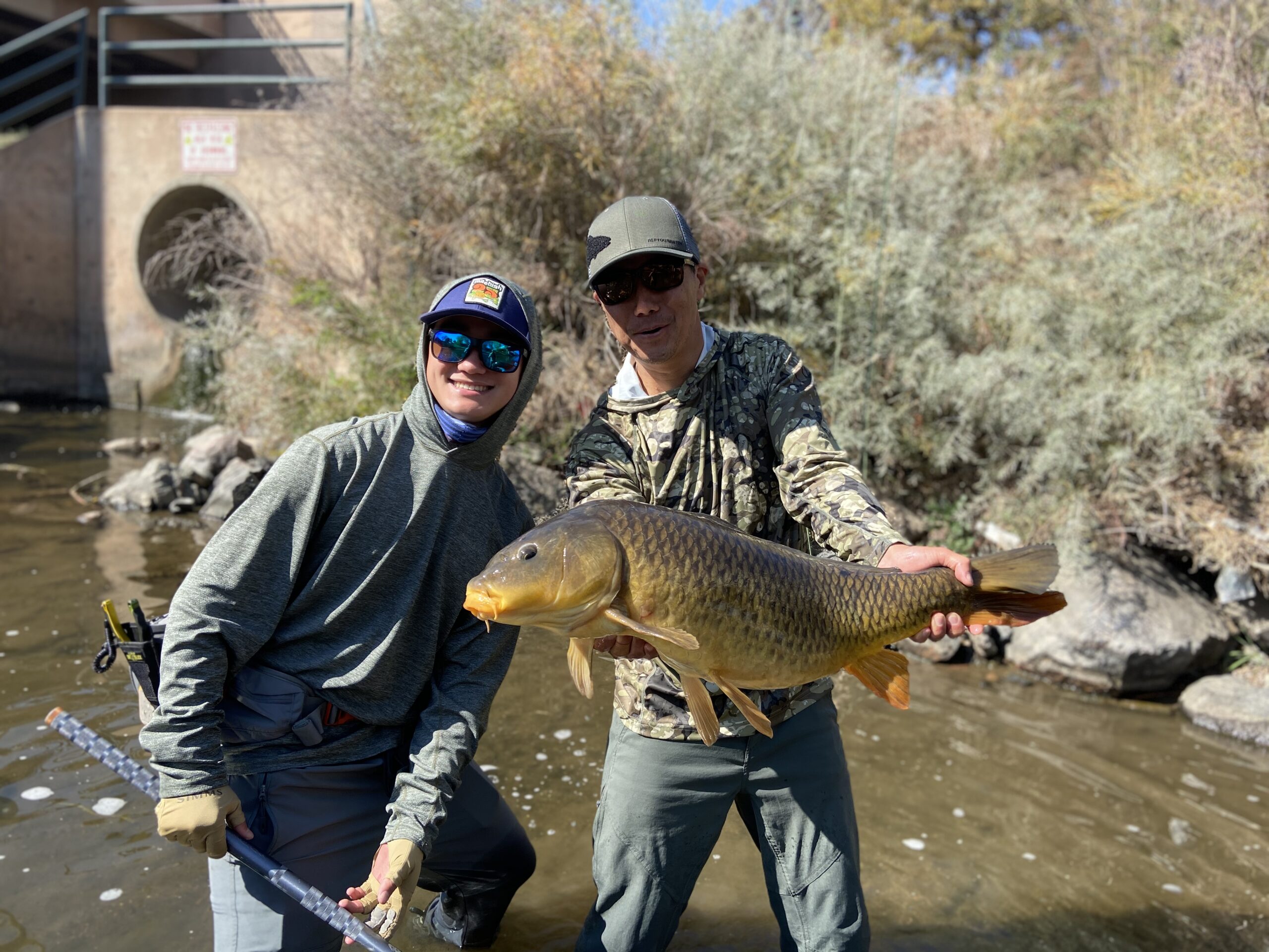 Big carp from the Denver South Platte