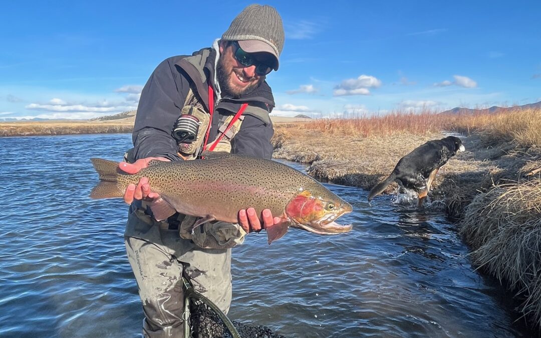 Dream Stream Fishing Report